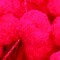 The Ribbon People Club Pack of 24 Red Wire Tie Pon Pon Craft Ribbon 12"